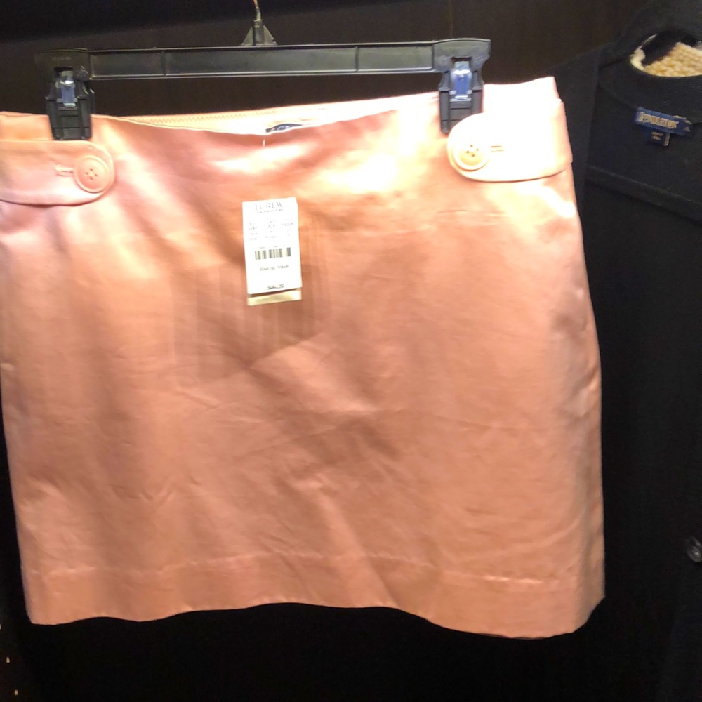 JCrew Factory Pink Skirt
